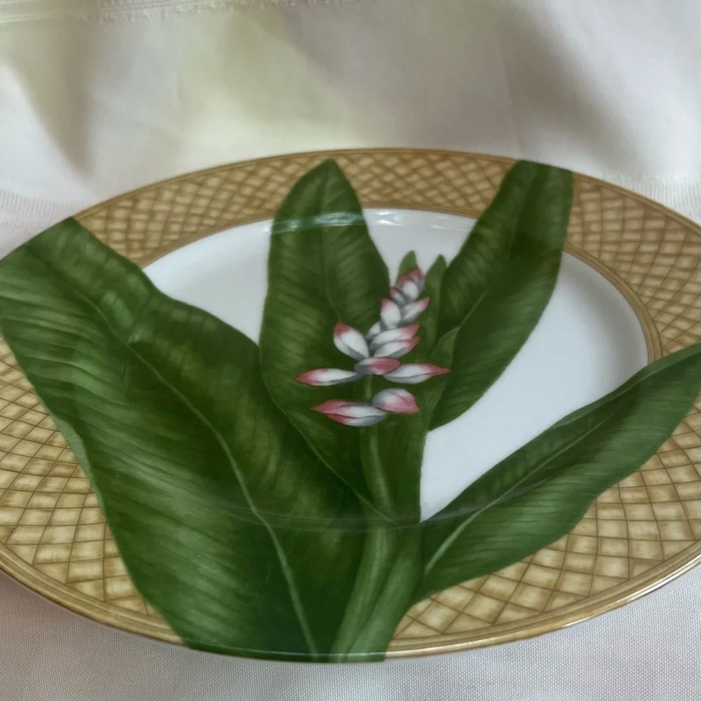 TWO Dinner Plates 222 FIFTH‎ Rain Forest Porcelain Discontinued EUC